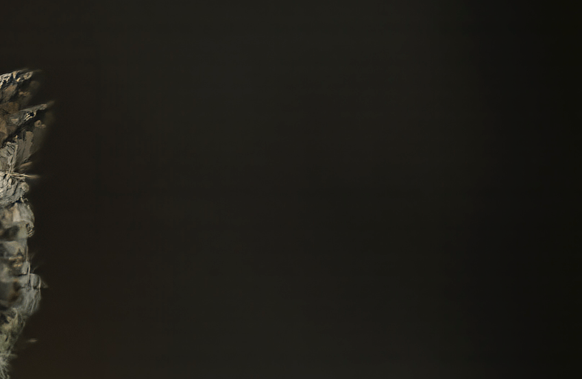 Screenshot 2024-06-14 at 9.52.30 AM