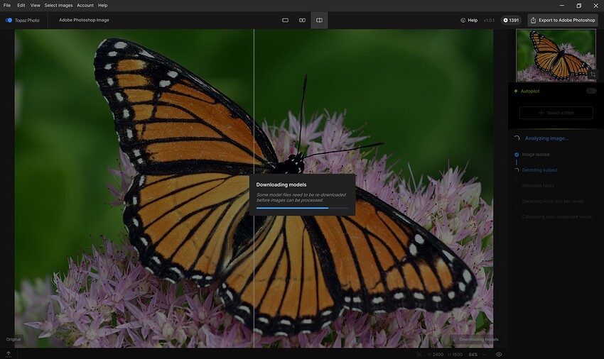 Fotomaker_TopazPhoto101_PsPLUGIN-ModelsMsgExample
