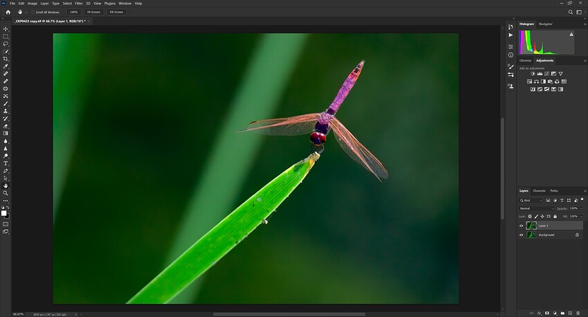 Photo AI ps