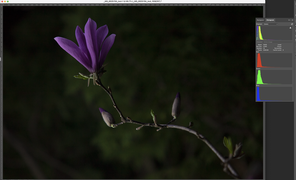Photo AI Changes Color and Geometry of CR2 Raw File when output to DNG