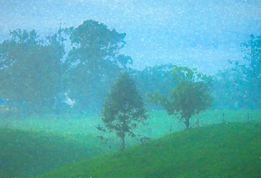 a%20pointism%20ts%20southside%20hill%20trees