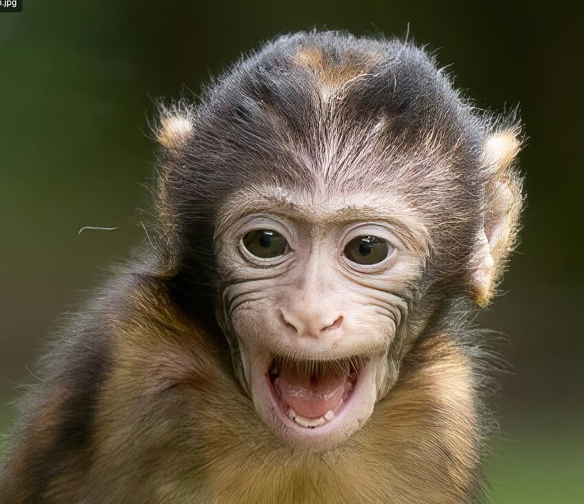 Screenshot 2025-06-20 at 7.44.20 PM