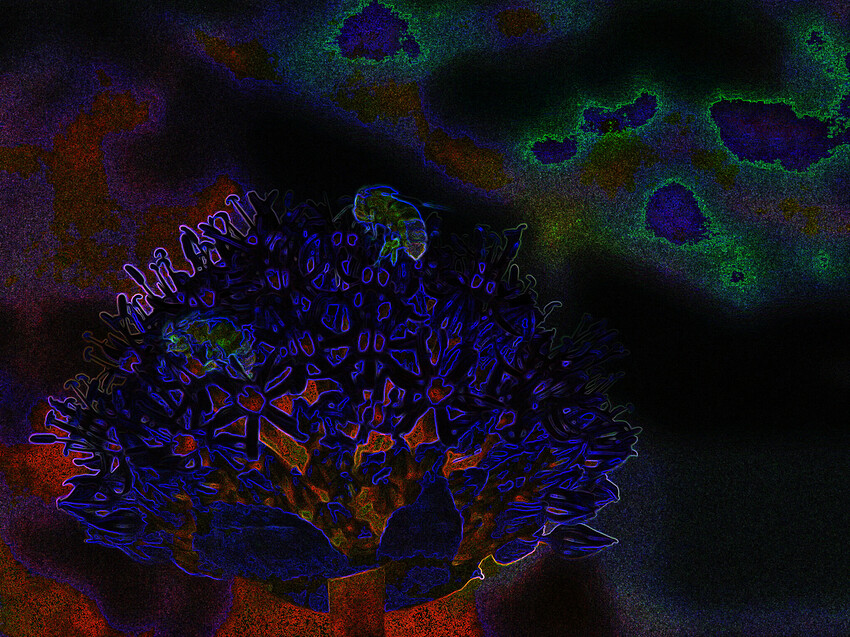 bees on flowerGlow