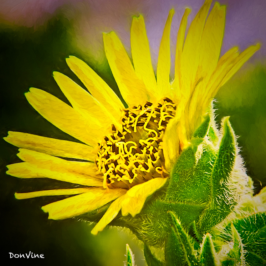 030713_145010_7612%20copy