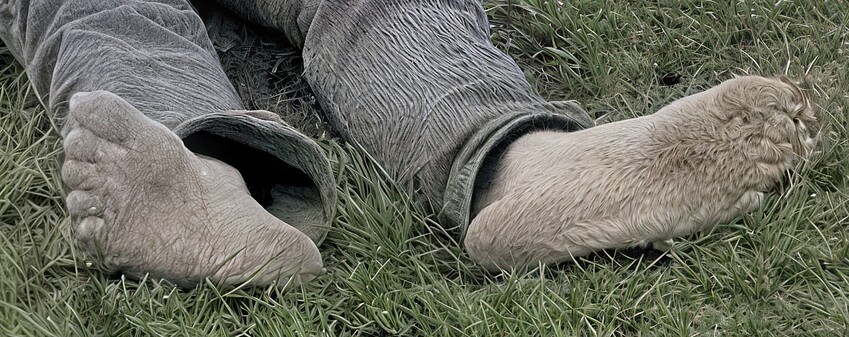 Screenshot 2024-11-23 at 5.18.04 PM