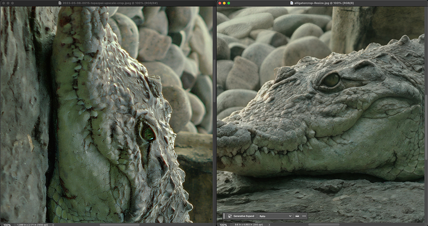 Screenshot 2026-01-25 at 12.21.57 PM