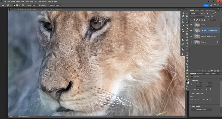 Fotomaker_PAI310output-InPs_DenoiseSharpen__NoColorNoiseNoHalos