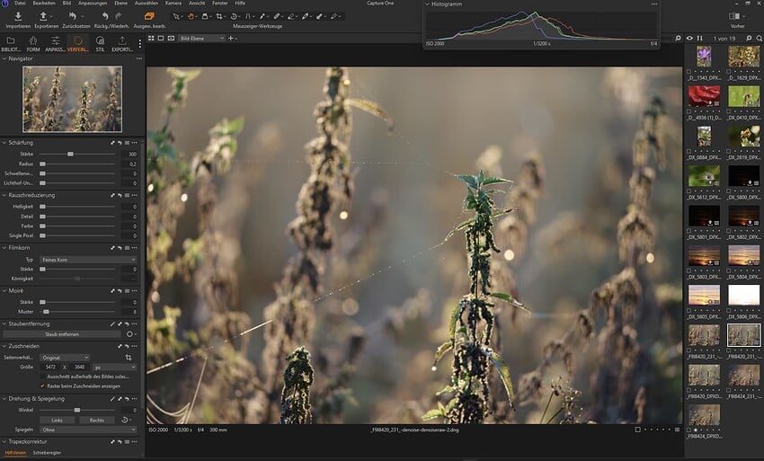 Screenshot 2024-03-14 225219