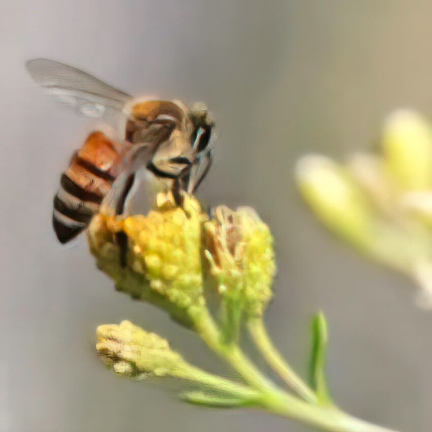 30544302408_d28ae15f09_z-120x120XX