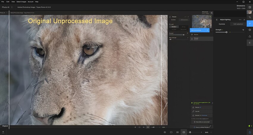 AdjLight-Step3-WithSettingsUsed