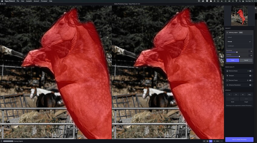 Screen Shot 2022-09-18 at 10.31.36 PM