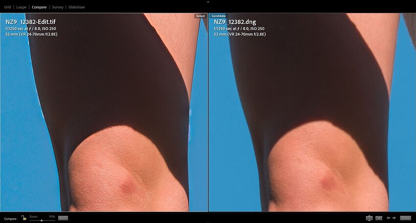 Human Skin to Lizard Skin