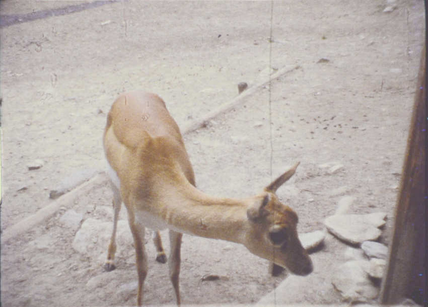 1_raw