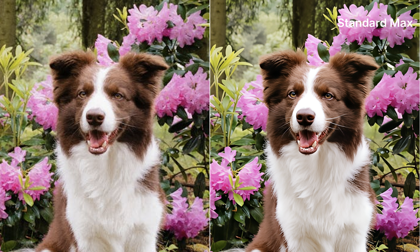 pexels-miami302-32470468.jpg_before_and_after