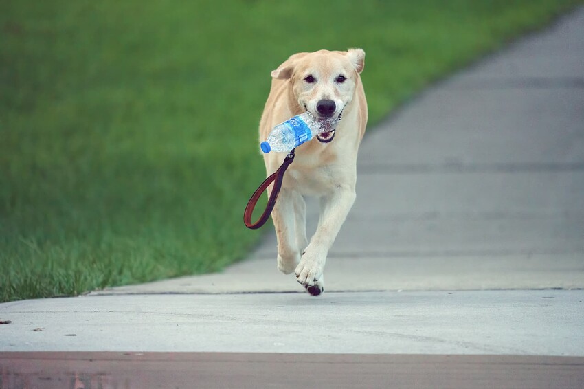 sharpened20220809-_DBC7123-test-aip