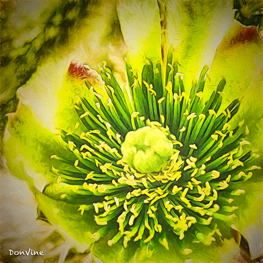 150126_104208_7772%20copy