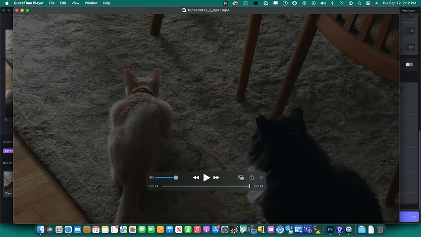 Screenshot 2023-09-12 at 2.12.01 PM