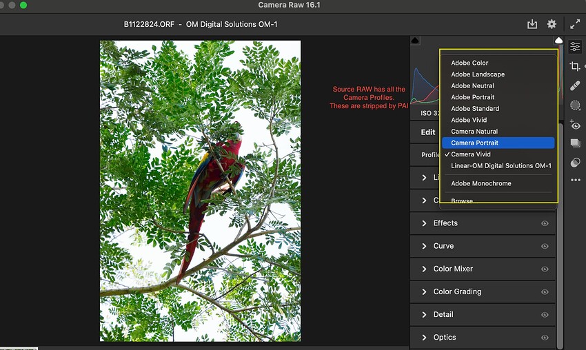 Screenshot 2024-01-22 at 12.22.19