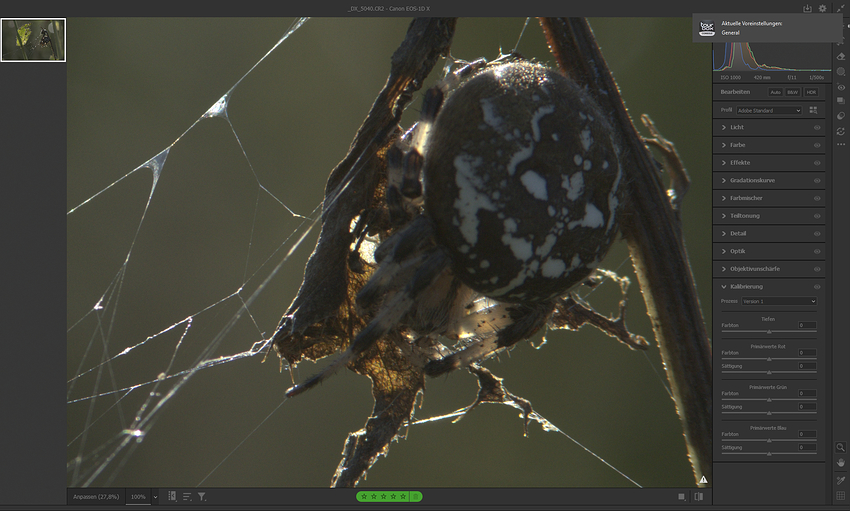 Screenshot 2026-01-07 211254