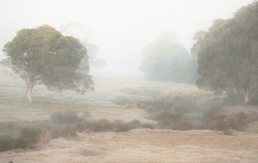 a%20DSCN0216%20imp%20emboss