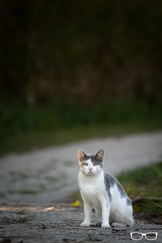 0188_Point Pelee-2