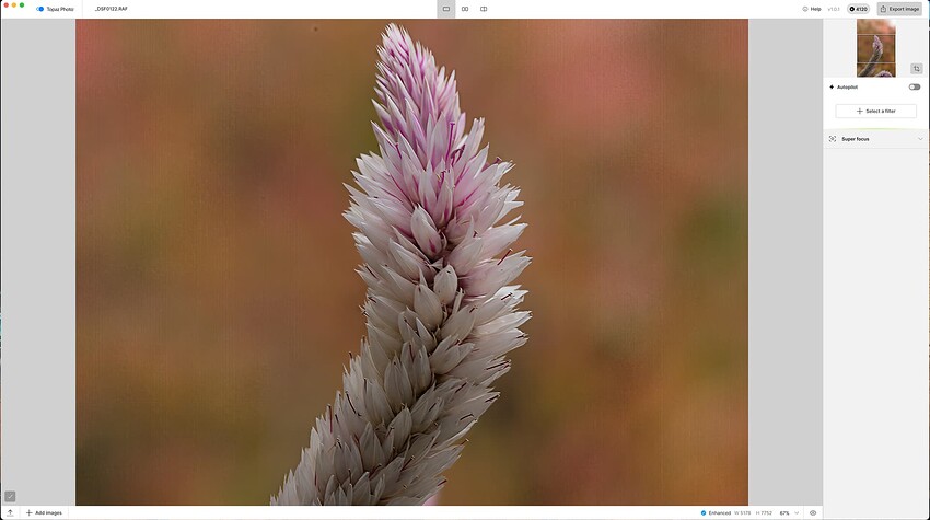 Screenshot-DSF0122-Topaz-Photo-2