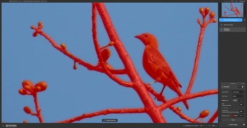 Screenshot 2024-03-28 at 8.24.00 PM