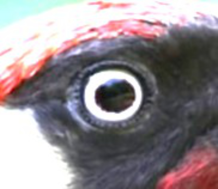 Screenshot image (1)ab