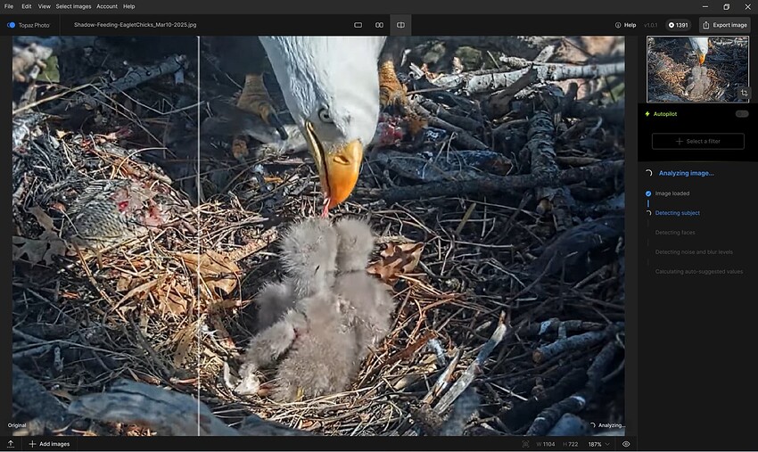 Fotomaker_TopazPhoto101_StandaloneW11_NotCompletingAssessmnts