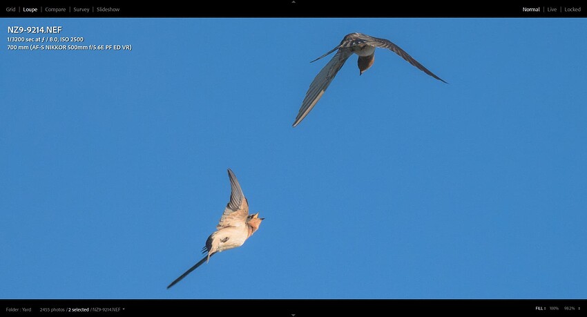 Screenshot (15) copy