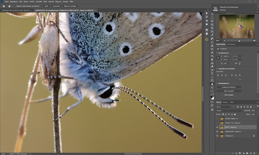 Screenshot 2026-01-23 235313