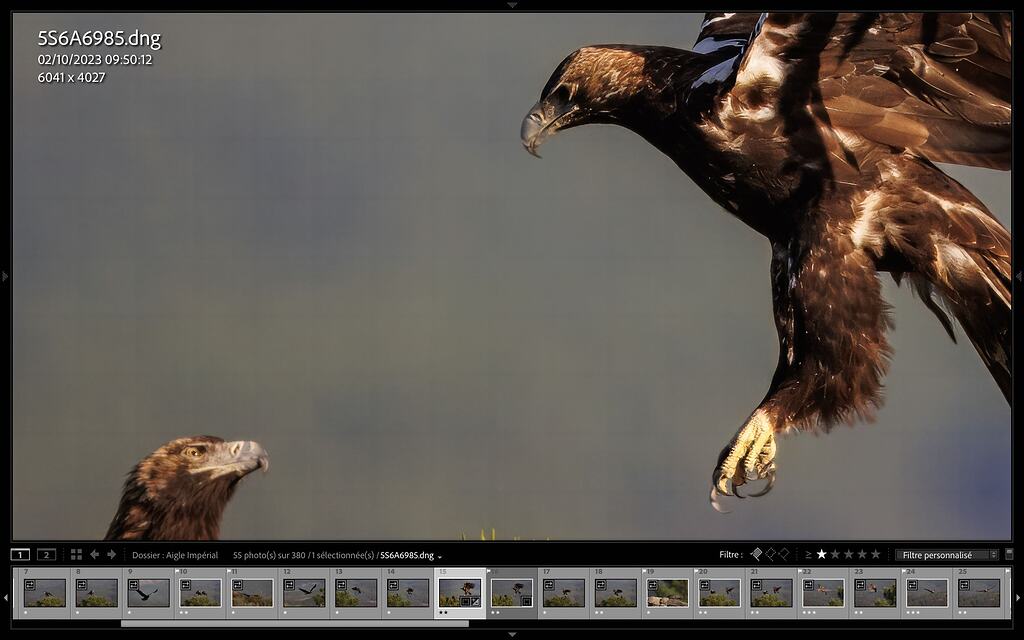 Square appears after rendering - Bugs and Issues - Topaz Community