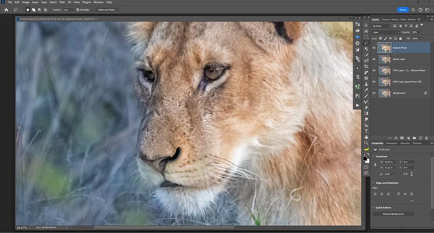 Fotomaker_PAI310output-PlusRadiantPhoto_ColorContrastDialedBack