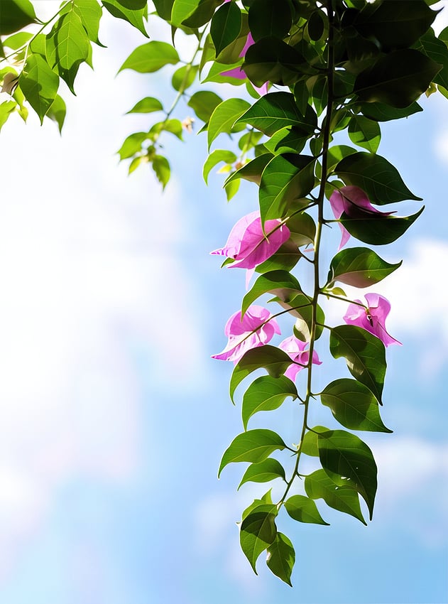 G5HFqaBbIAA5Ae7-gigapixel-recover v2 none pre-downscaling-2x