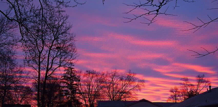 PB290337crop-gigapixel-wonder-2x