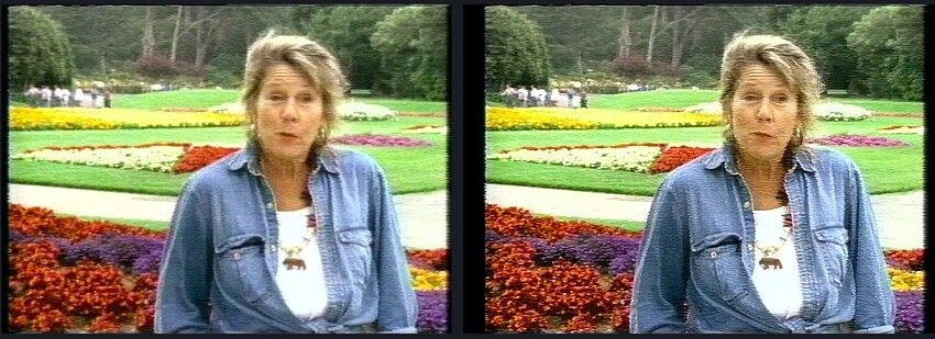 Screenshot 2022-11-04 at 9.04.46 AM