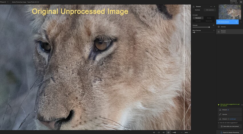 Screenshot 2024-07-13 Photo AI unprocessed