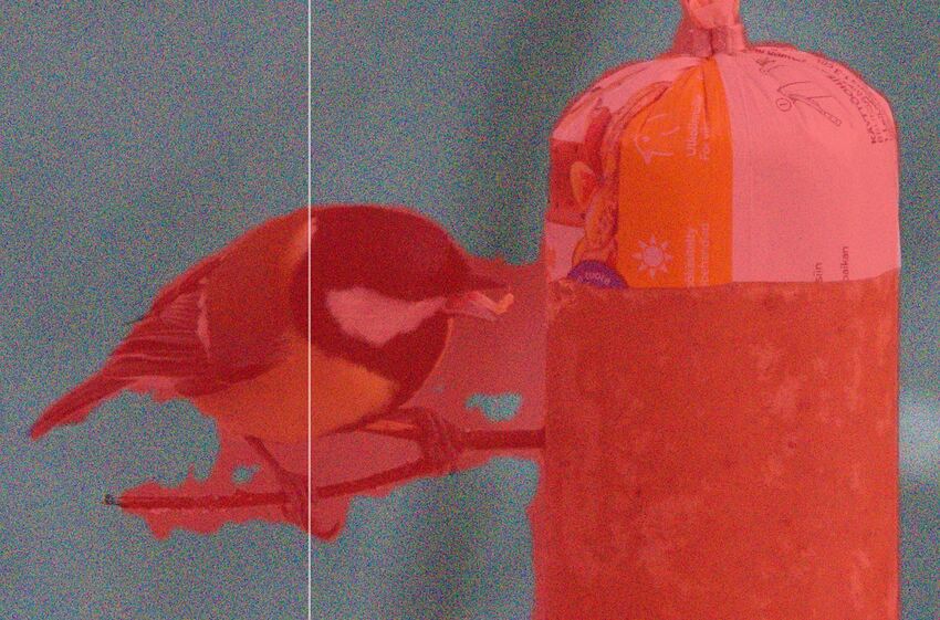 Photo AI subject recognition