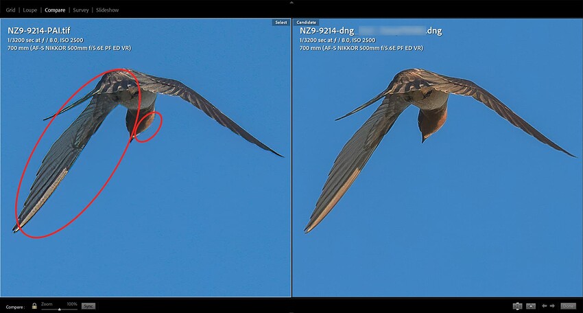 Screenshot (14) copy