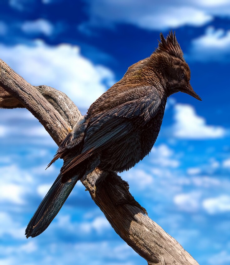 Screenshot 2025-02-10 at 2.02-1-1-1.40 PM