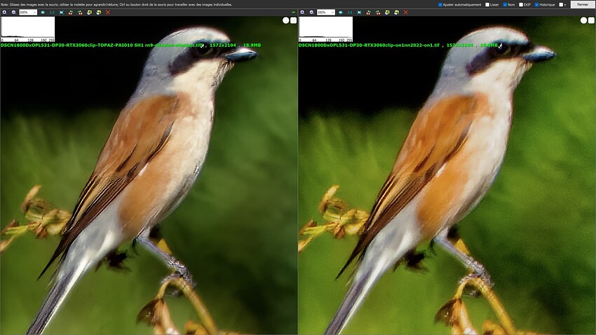 ttopazai 010 2022-09-09_100025