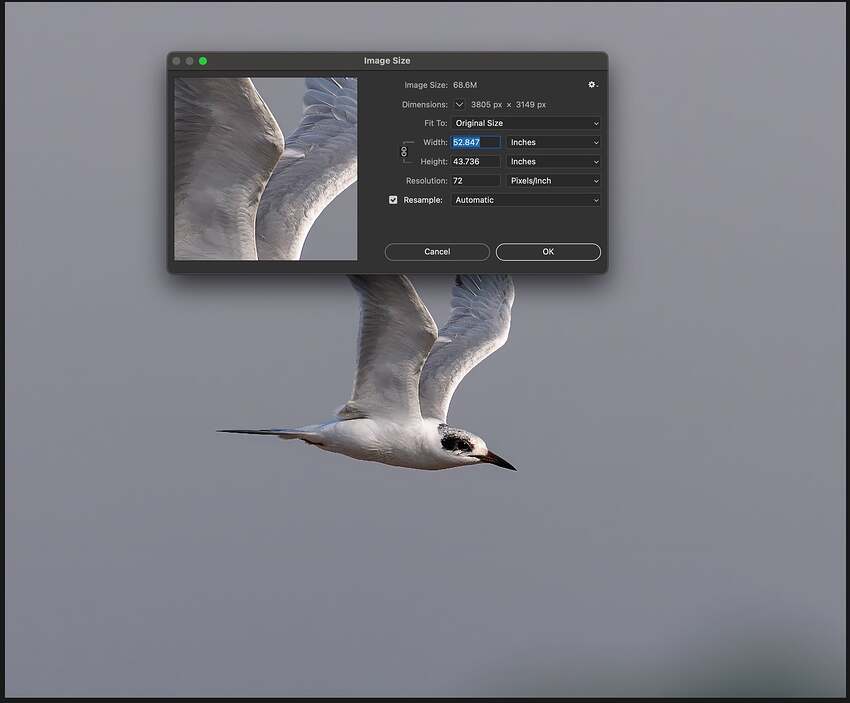 Screenshot 2026-02-28 at 9.25.51 PM