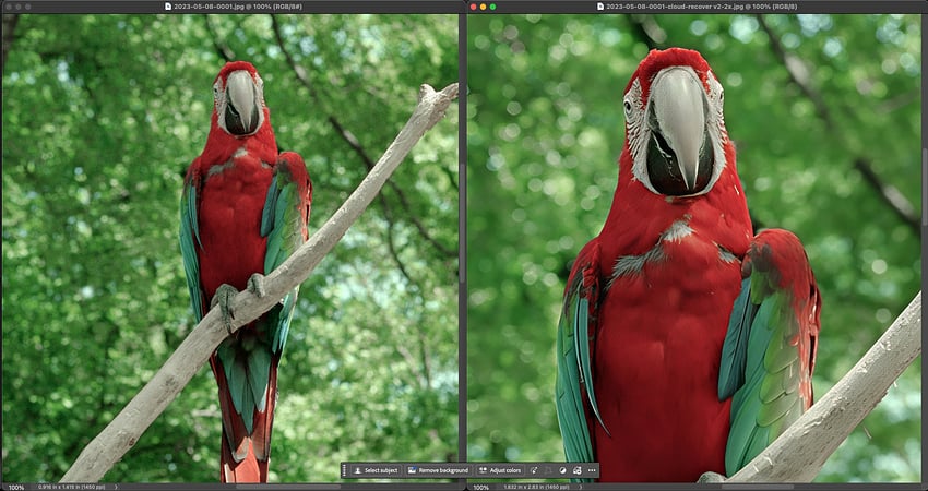 Screenshot 2026-01-24 at 1.51.44 PM