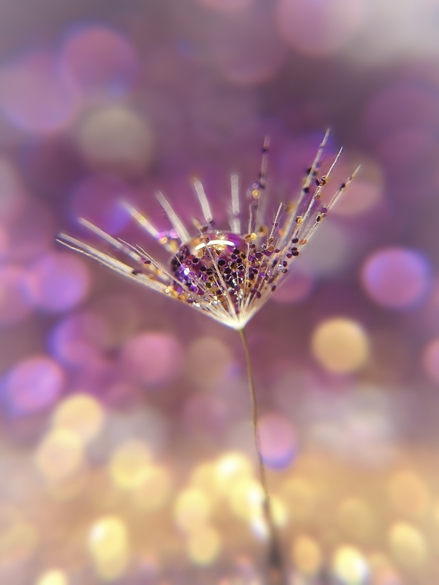 a%20DSCN7819-Editpale