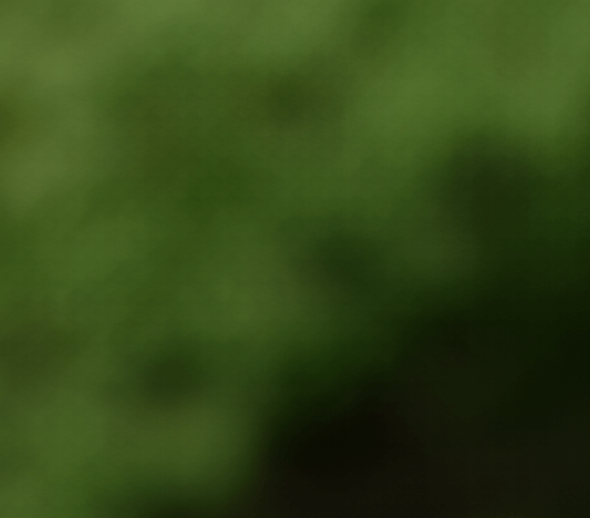 Screenshot%202020-09-11%20214229