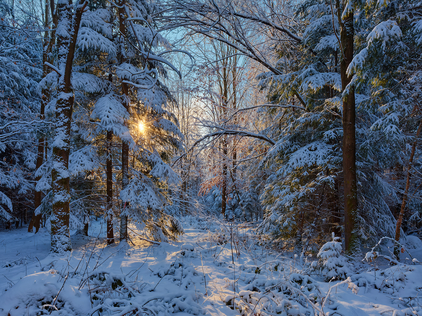 _56A2051-DP3_2-DP3_3-DP3_4-DP3_5-DP3_Compressor-4