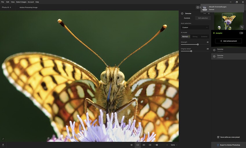 Screenshot 2025-05-21 083926