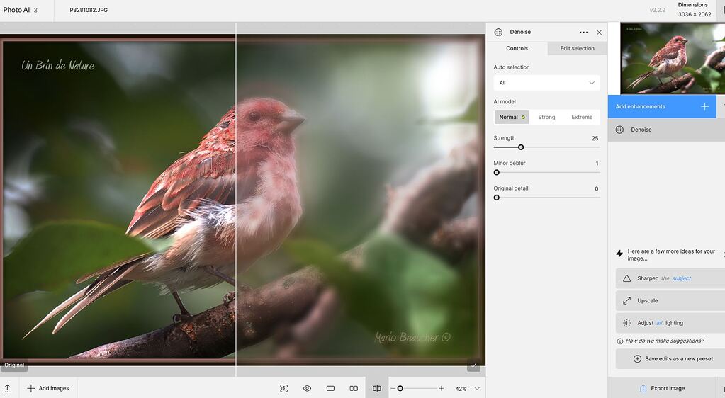 No more able to use Topaz AI Denoise - Bugs and Issues - Topaz Community