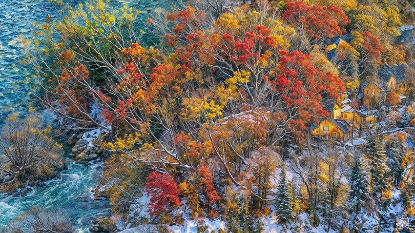 Screenshot 2024-11-11 at 10.55.20 AM