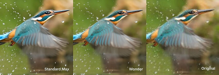 Wonder Model comparison